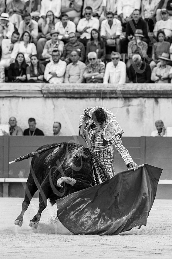 20250608 nimes tarde 008