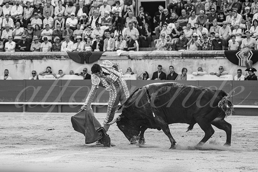 20250608 nimes tarde 007