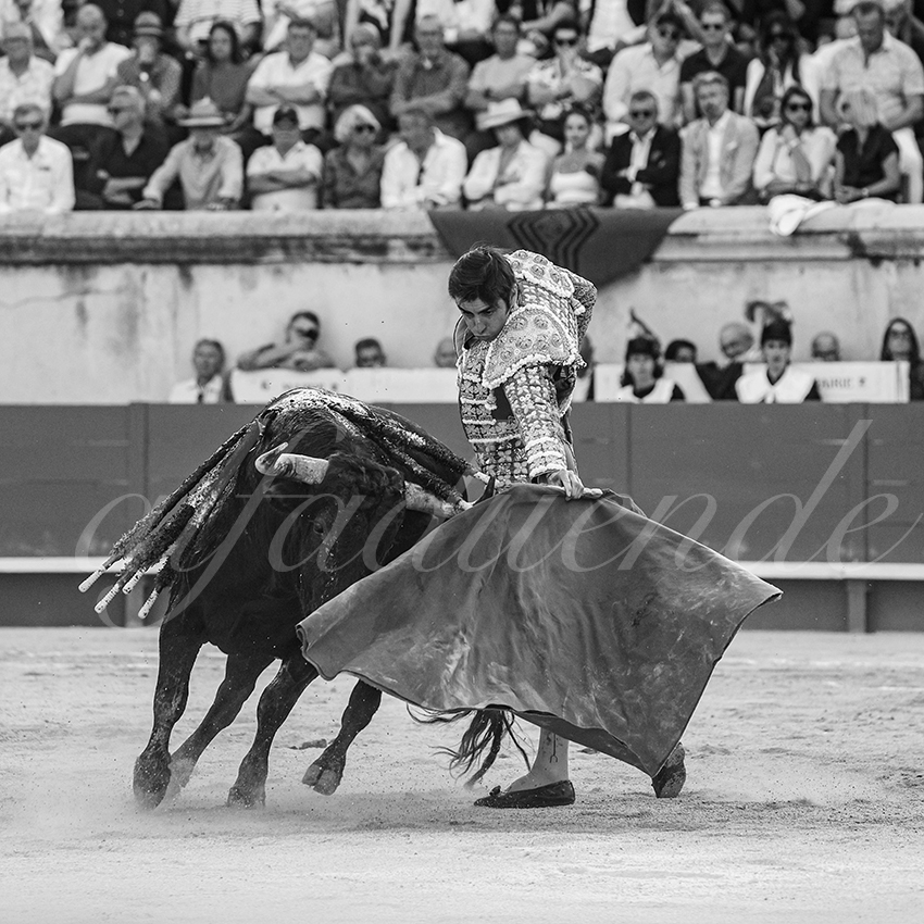 20250608 nimes tarde 006