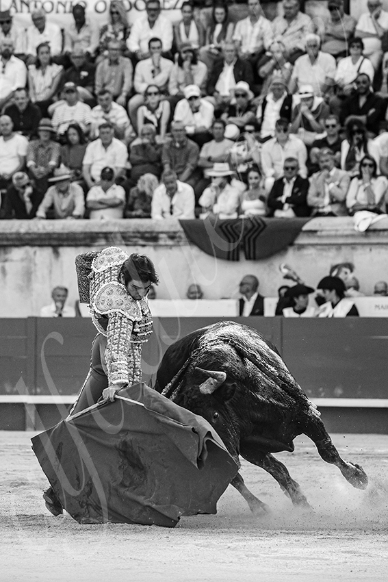 20250608 nimes tarde 005