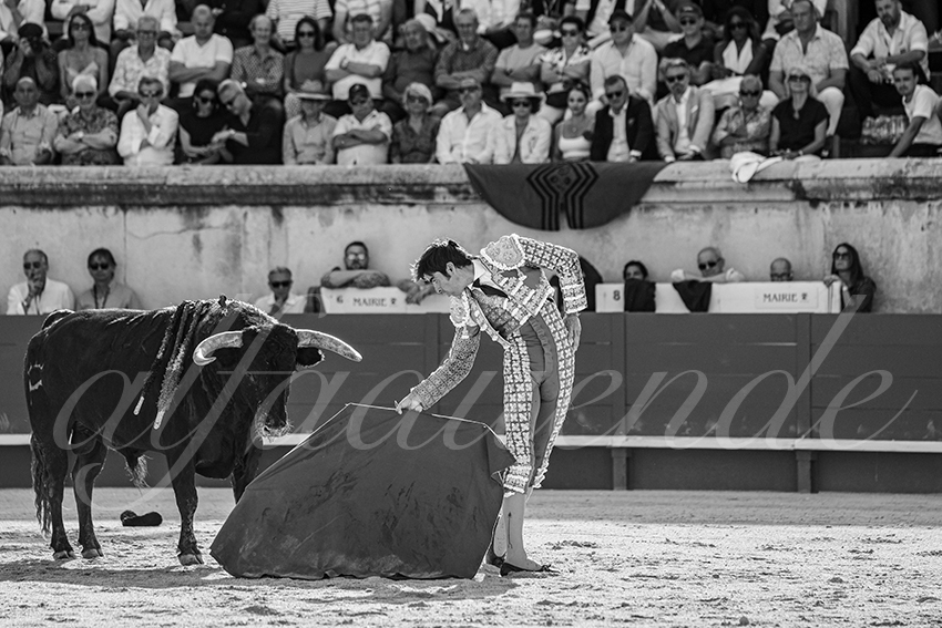 20250608 nimes tarde 004