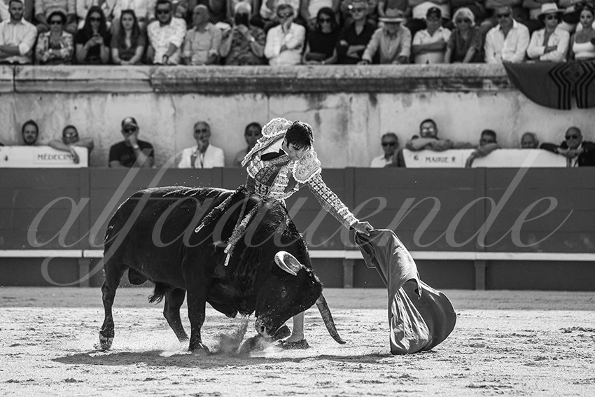 20250608 nimes tarde 003