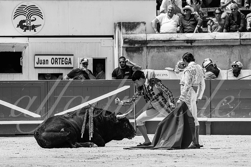 20250608 nimes manana cuadrillas 006 copie