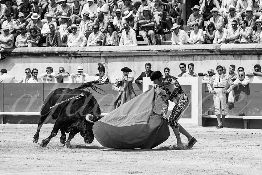 20250608 nimes manana cuadrillas 005 copie