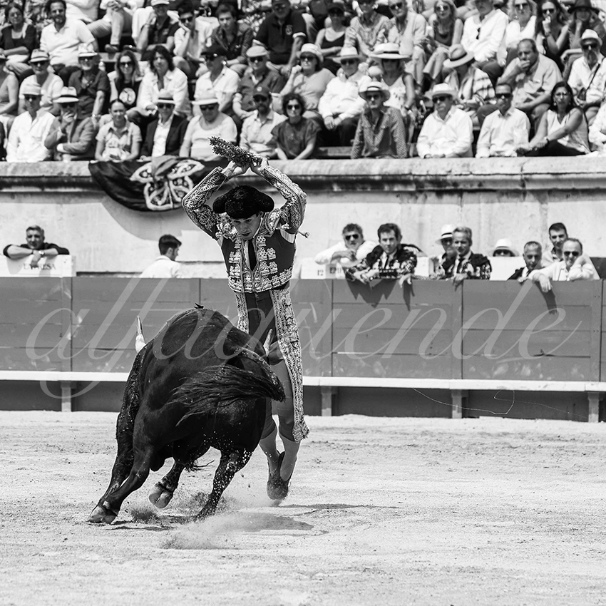 20250608 nimes manana cuadrillas 004 copie