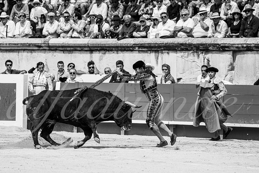 20250608 nimes manana cuadrillas 003 copie