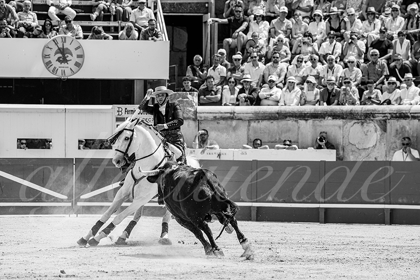 20250609 ni mes rejon 008