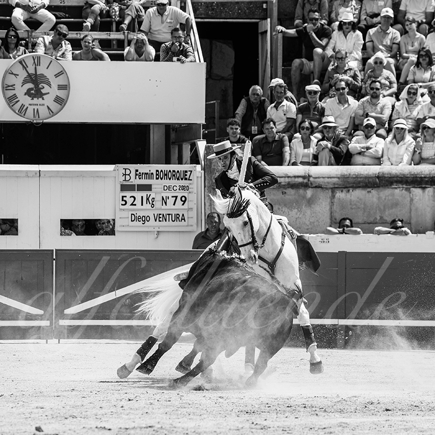 20250609 ni mes rejon 007