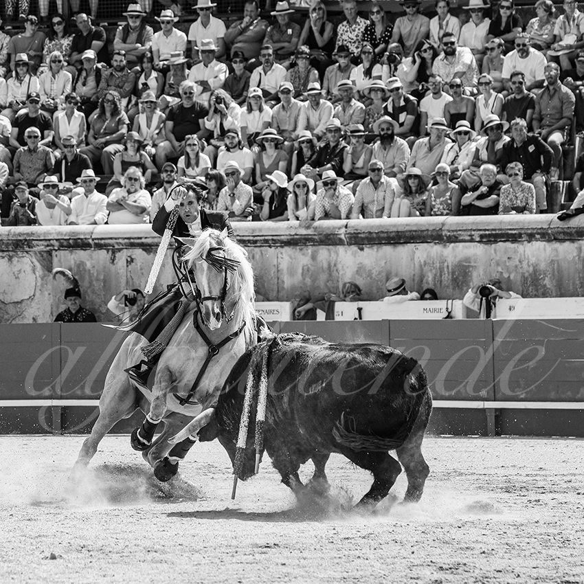 20250609 ni mes rejon 006