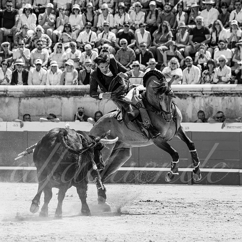 20250609 ni mes rejon 005