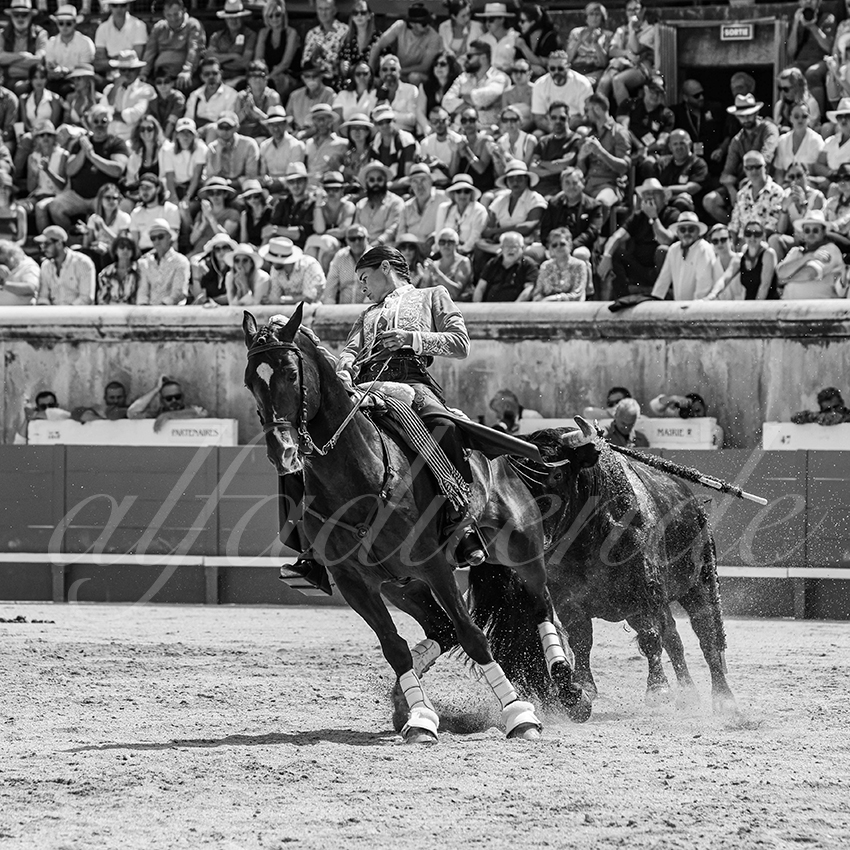 20250609 ni mes rejon 016