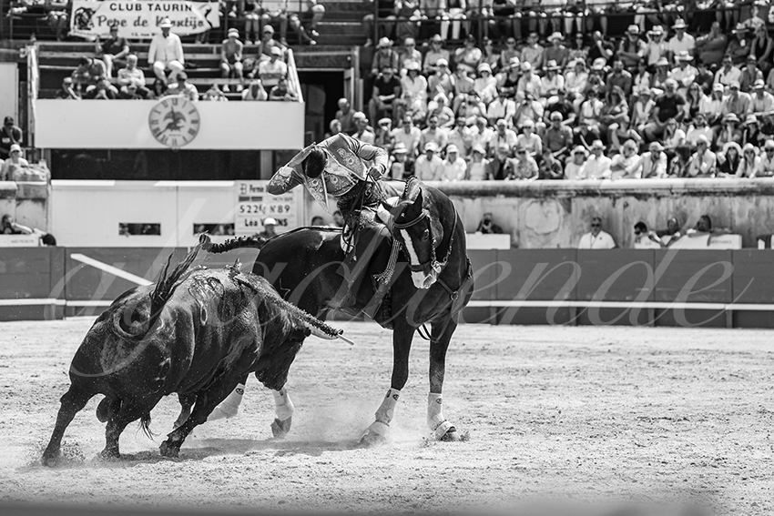 20250609 ni mes rejon 015