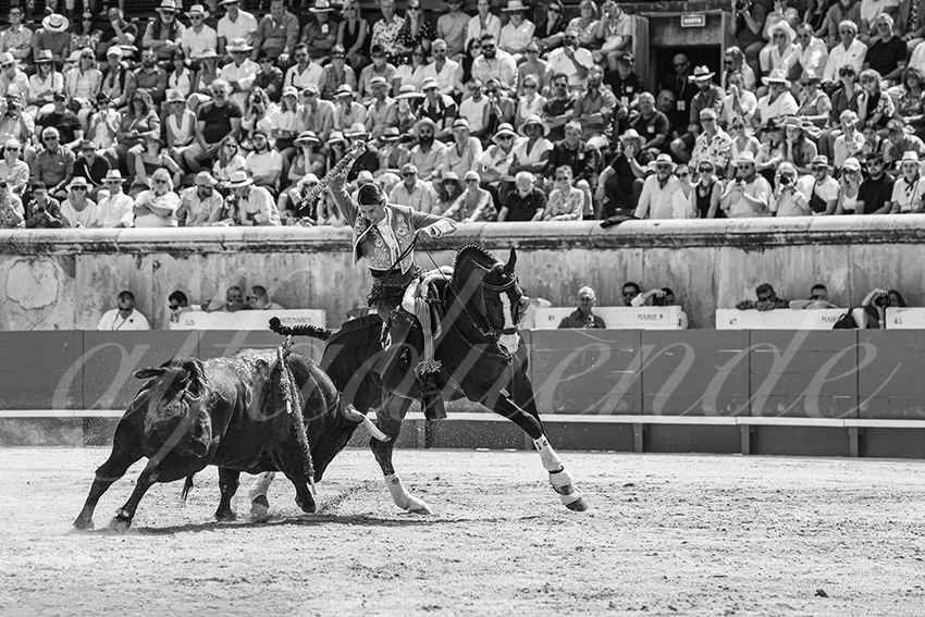 20250609 ni mes rejon 014