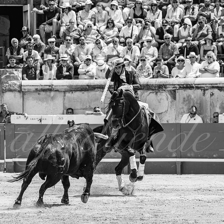 20250609 ni mes rejon 013