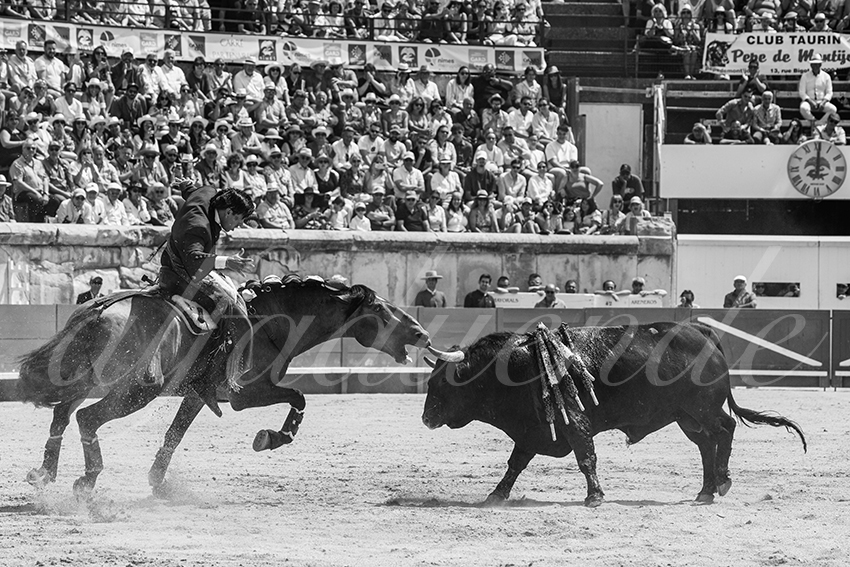 20250609 ni mes rejon 012