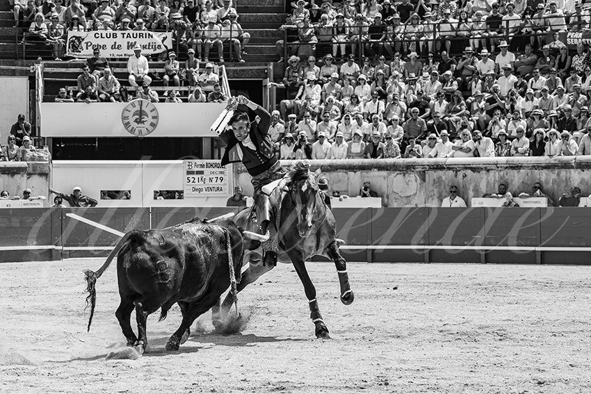 20250609 ni mes rejon 011