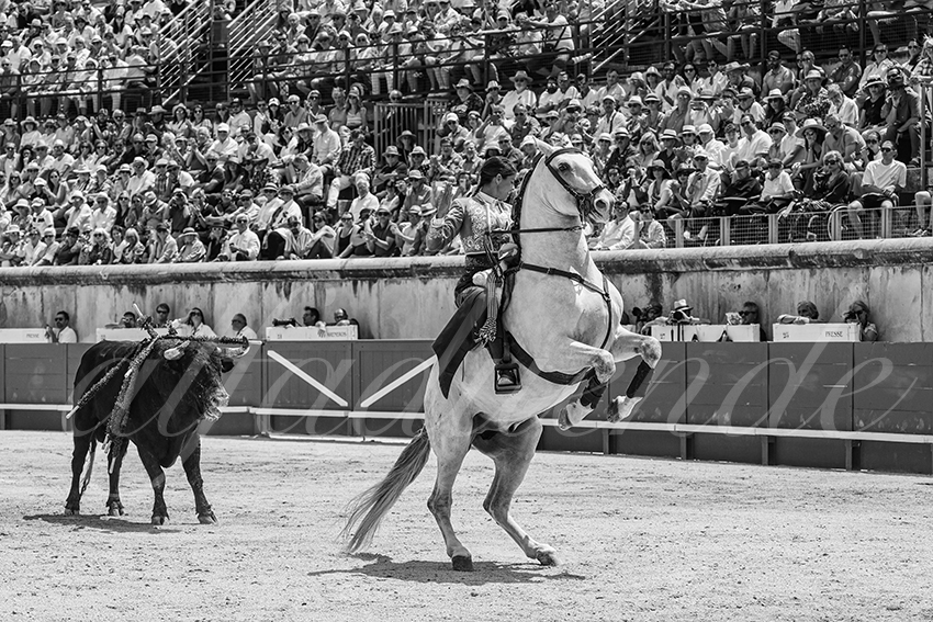 20250609 ni mes rejon 022