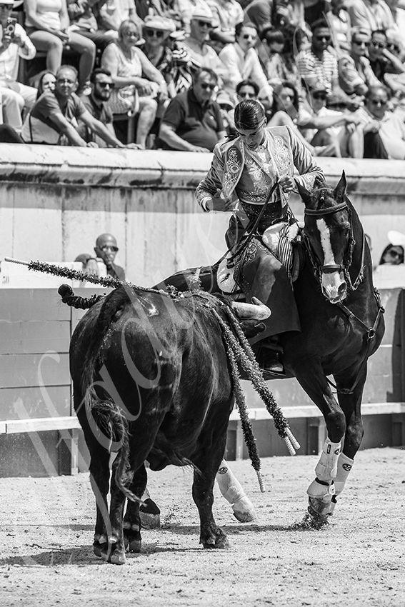 20250609 ni mes rejon 021