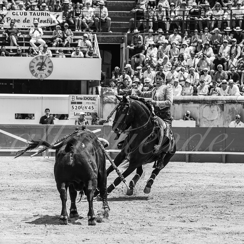 20250609 ni mes rejon 020