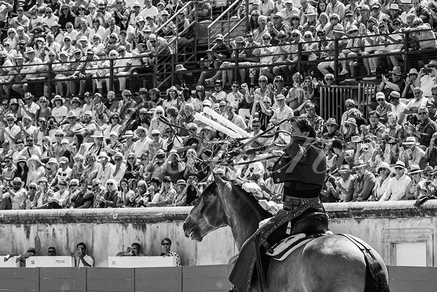 20250609 ni mes rejon 010