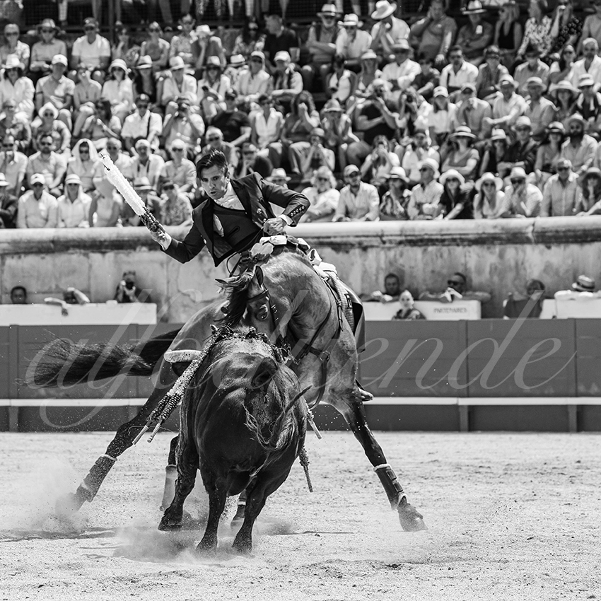 20250609 ni mes rejon 009