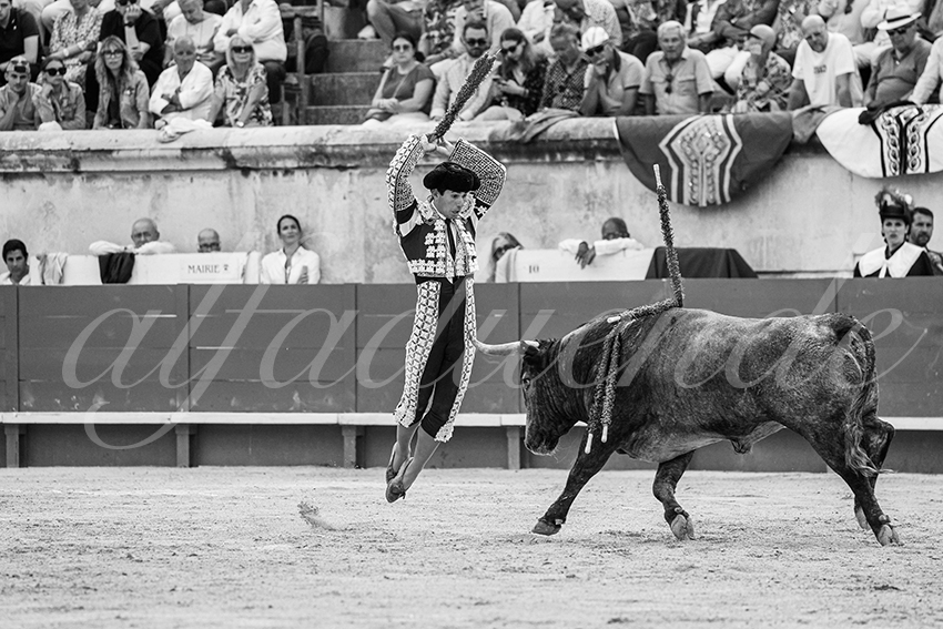 20250609 nimes cuadrillas 009 copie