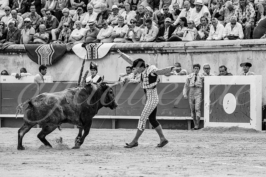 20250609 nimes cuadrillas 008 copie