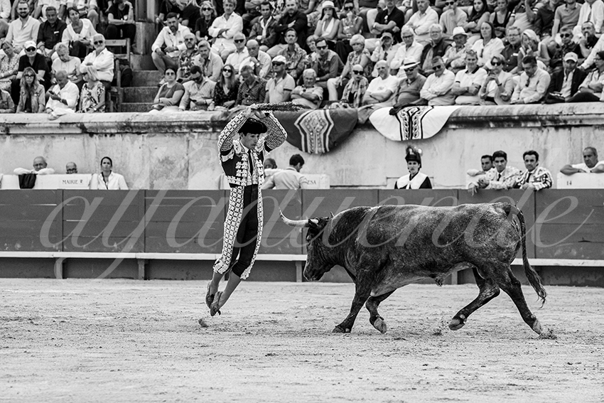 20250609 nimes cuadrillas 007 copie