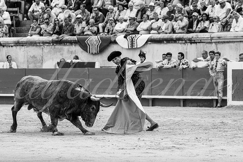 20250609 nimes cuadrillas 006 copie