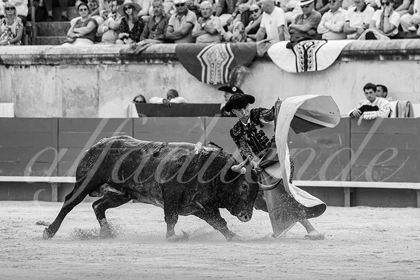 20250609 nimes cuadrillas 004 copie