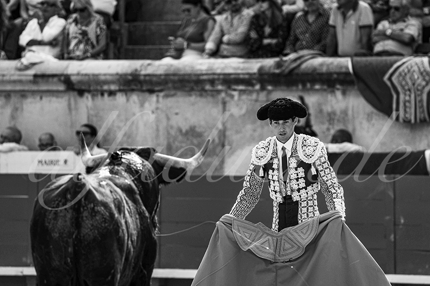 20250609 nimes cuadrillas 002 copie