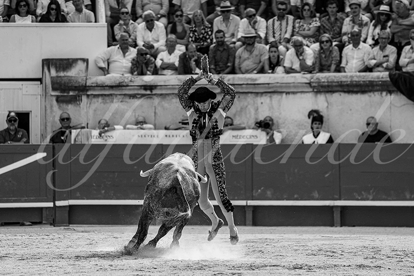 20250609 nimes cuadrillas 001 copie