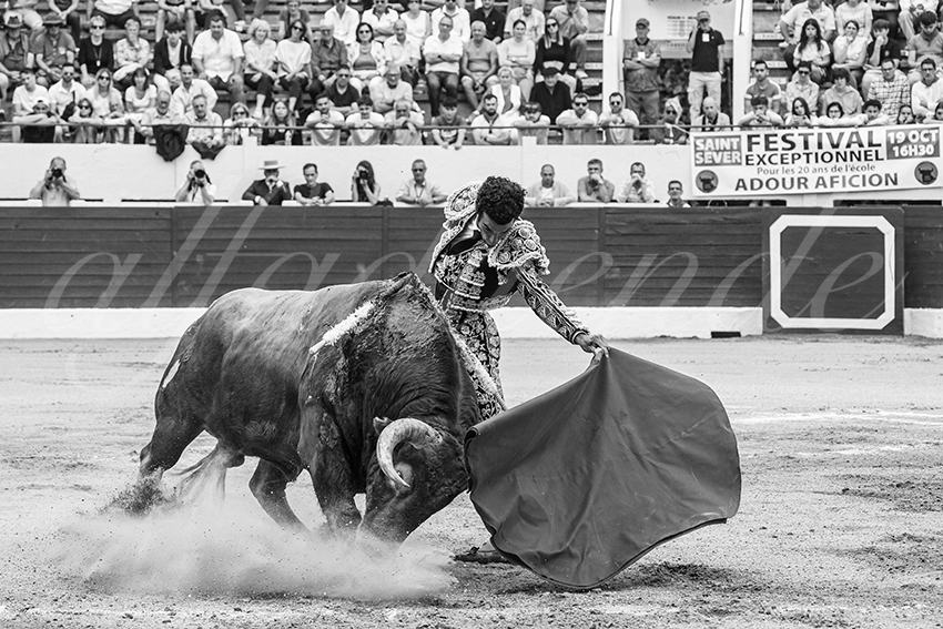 20250615 aire sur l adour 011