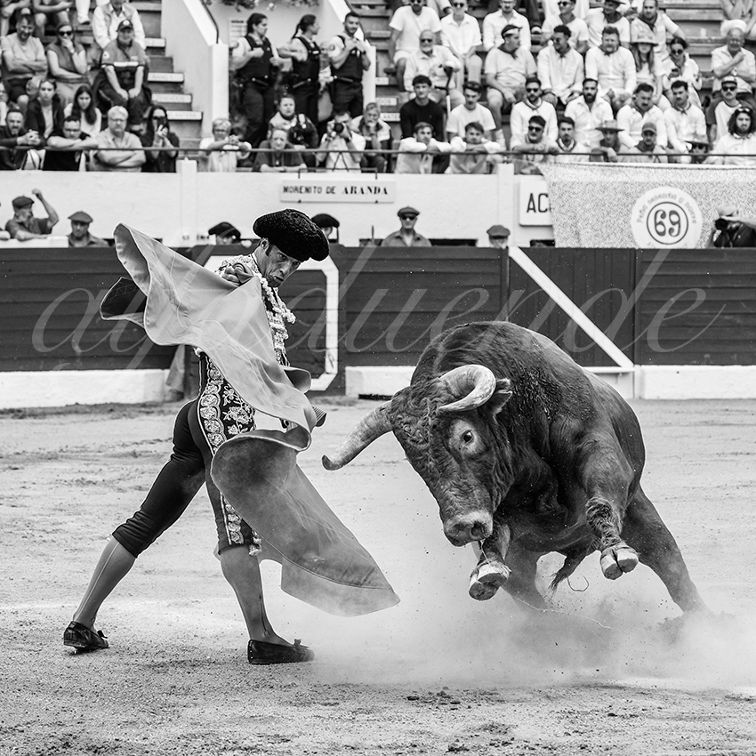 20250615 aire sur l adour 010