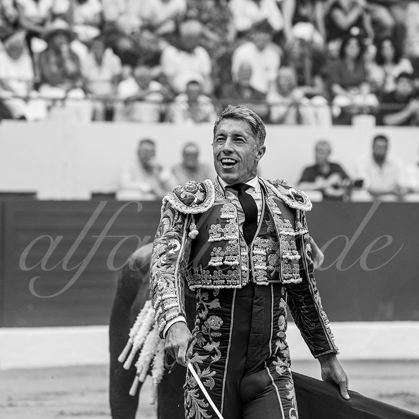 20250615 aire sur l adour 009