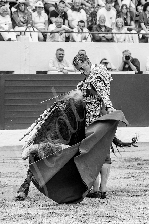 20250615 aire sur l adour 008