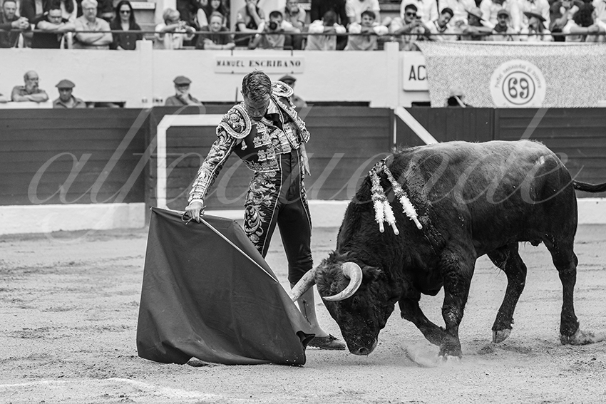 20250615 aire sur l adour 007