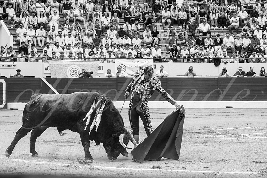 20250615 aire sur l adour 006