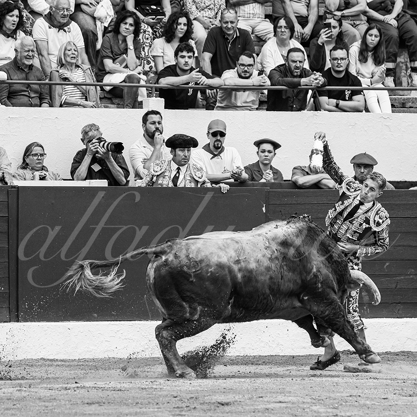 20250615 aire sur l adour 004