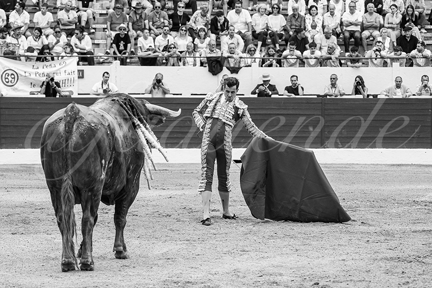 20250615 aire sur l adour 022