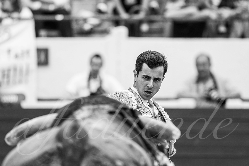 20250615 aire sur l adour 021