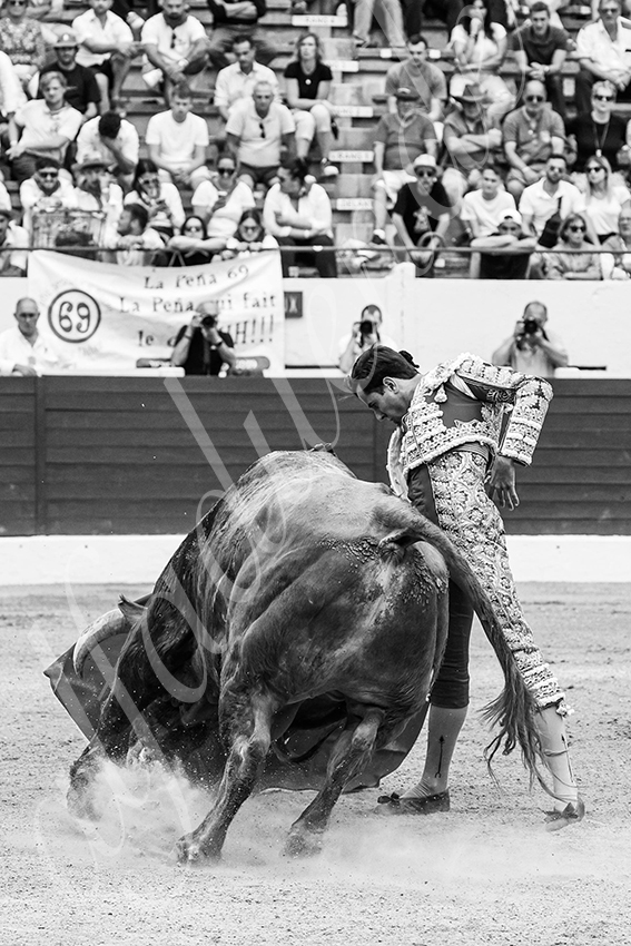 20250615 aire sur l adour 020