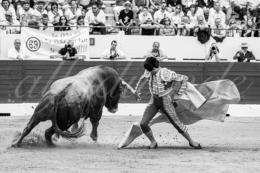 20250615 aire sur l adour 019