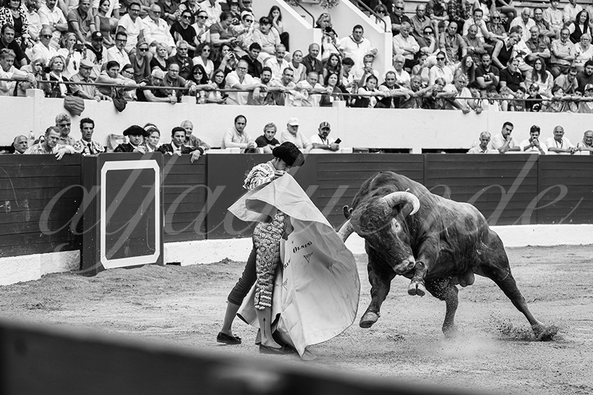 20250615 aire sur l adour 018