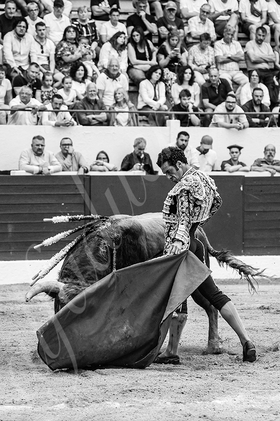 20250615 aire sur l adour 017