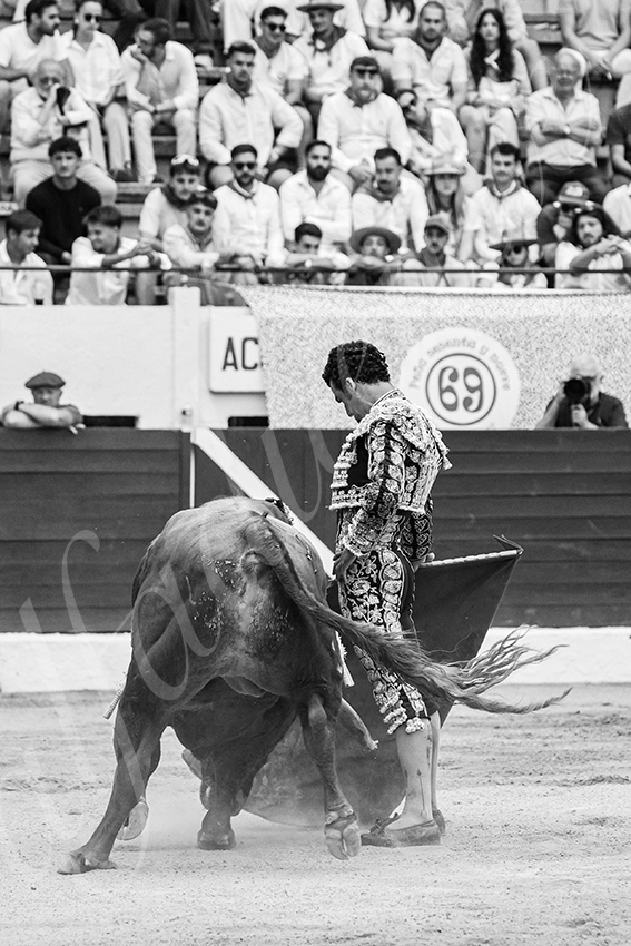 20250615 aire sur l adour 016