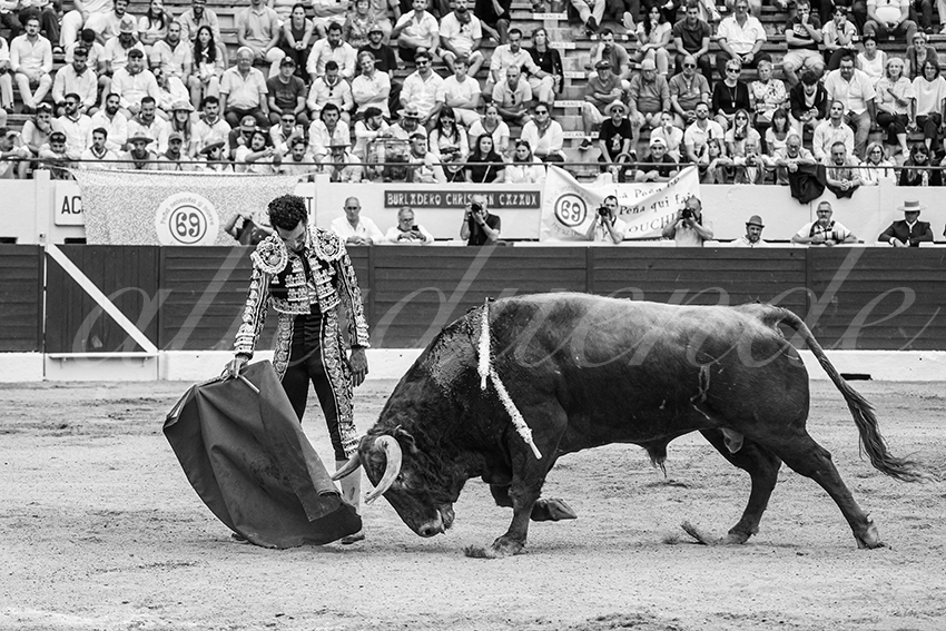 20250615 aire sur l adour 015