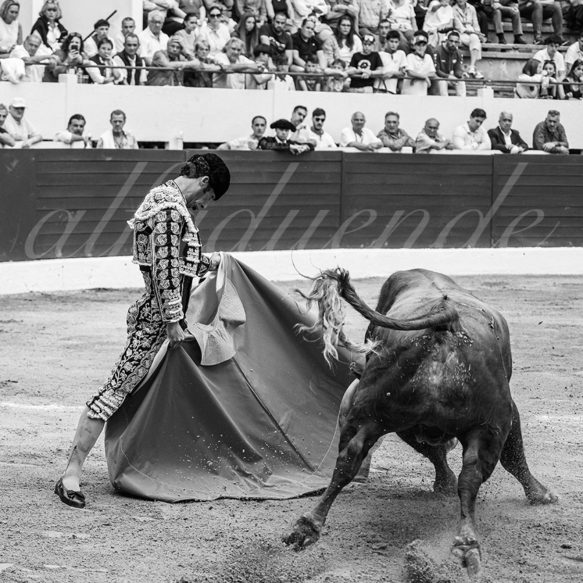 20250615 aire sur l adour 013