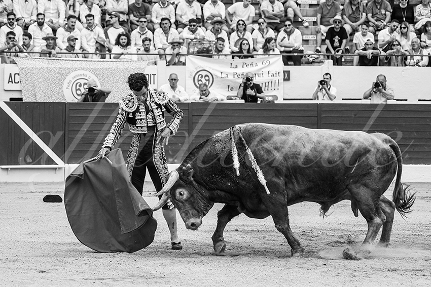 20250615 aire sur l adour 012