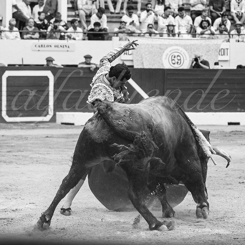 20250615 aire sur l adour 032